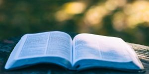 商標、特許、意匠等の知財の